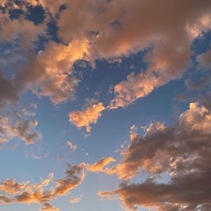 Meet your Posher, Tecia